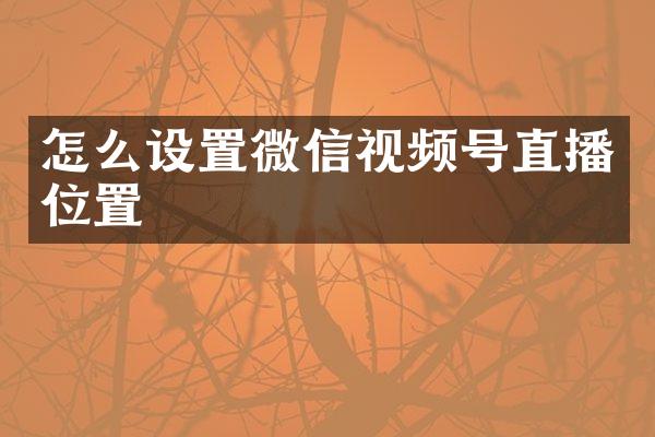 怎么设置微信视频号直播位置