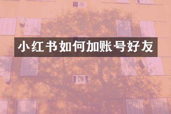 小红书如何加账号好友