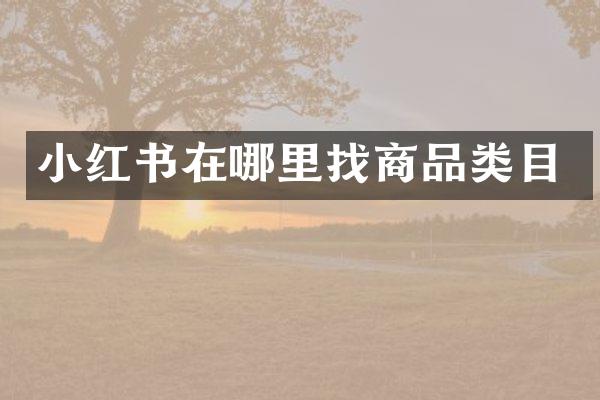 小红书在哪里找商品类目