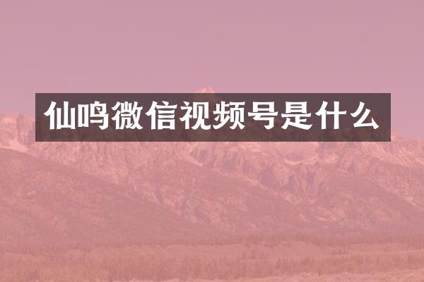 仙鸣微信视频号是什么