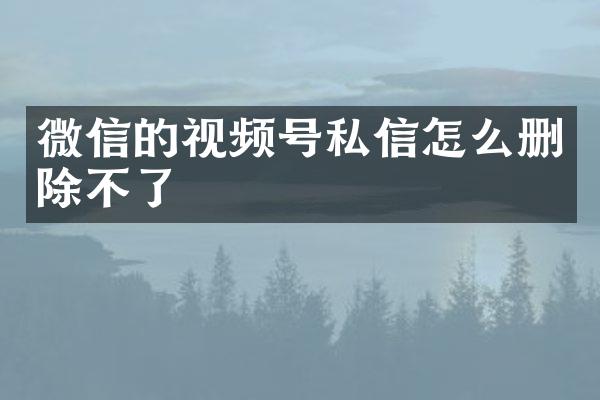 微信的视频号私信怎么删除不了