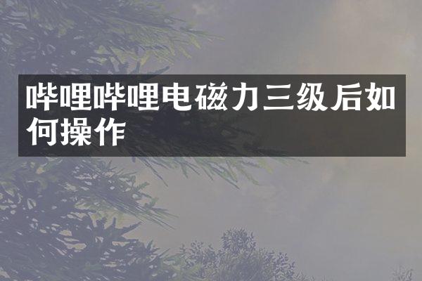 哔哩哔哩电磁力三级后如作