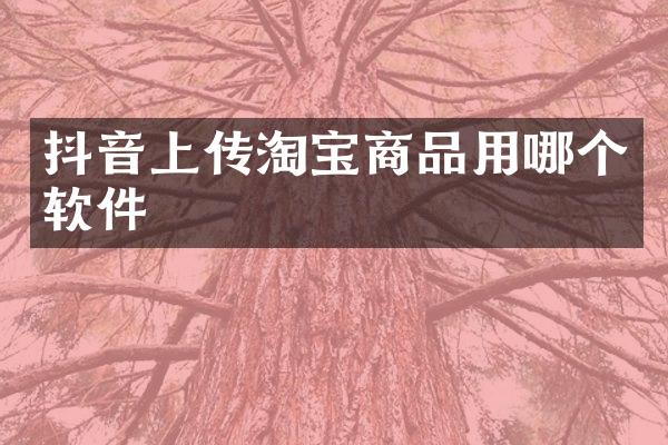 抖音上传淘宝商品用哪个软件
