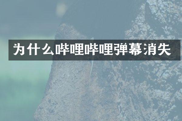 为什么哔哩哔哩弹幕消失