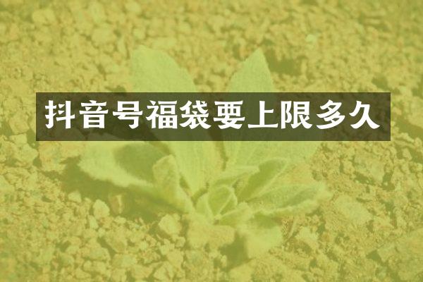 抖音号福袋要上限多久