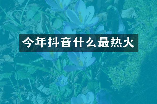 今年抖音什么最热火