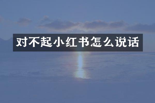 对不起小红书怎么说话
