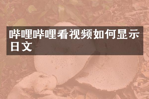 哔哩哔哩看视频如何显示日文