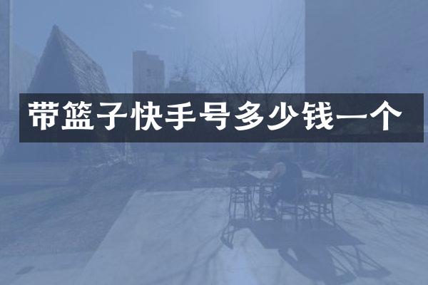 带篮子快手号多少钱一个