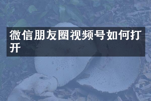 微信朋友圈视频号如何打开