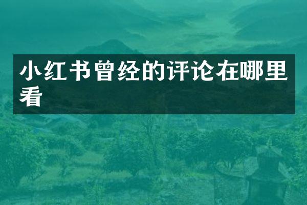 小红书曾经的评论在哪里看