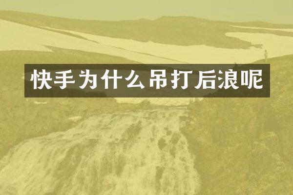 快手为什么吊打后浪呢