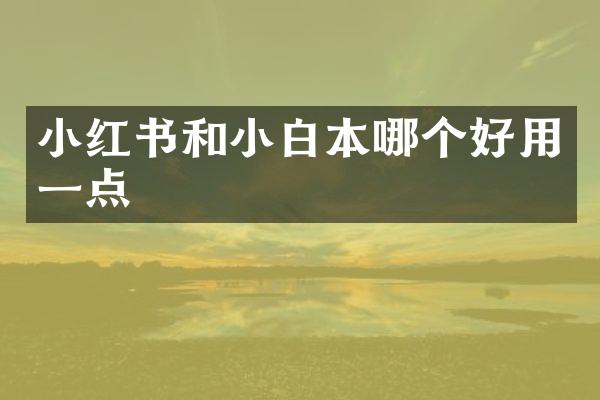小红书和小白本哪个好用一点