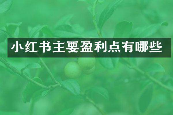 小红书主要盈利点有哪些