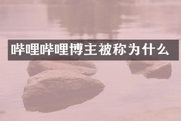 哔哩哔哩博主被称为什么