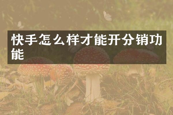 快手怎么样才能开分销功能
