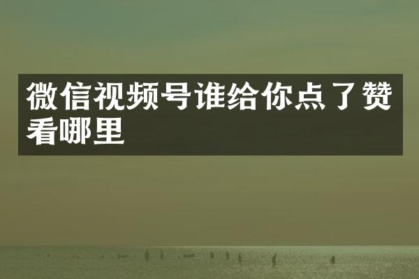微信视频号谁给你点了赞看哪里