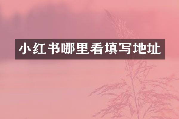 小红书哪里看填写地址