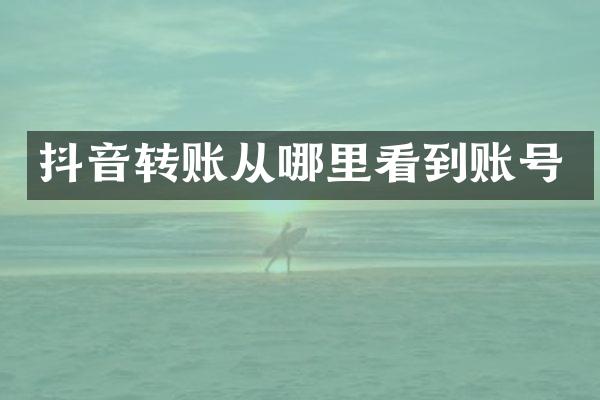 抖音转账从哪里看到账号