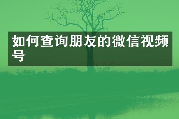 如何查询朋友的微信视频号