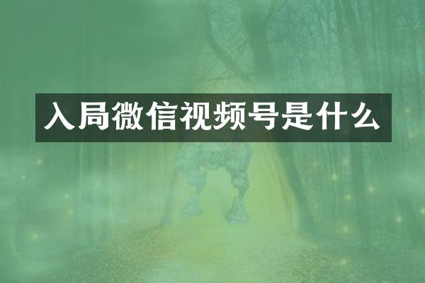 入局微信视频号是什么