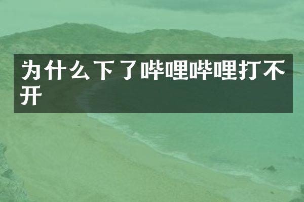 为什么下了哔哩哔哩打不开