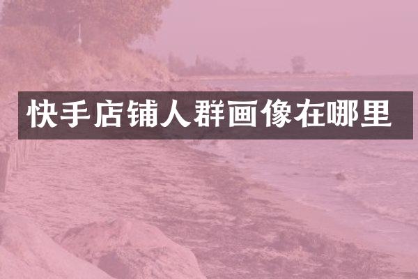 快手店铺人群画像在哪里