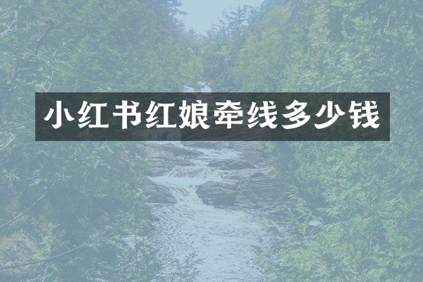 小红书红娘牵线多少钱