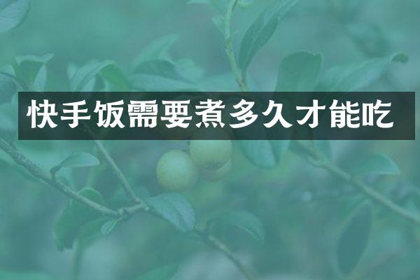 快手饭需要煮多久才能吃