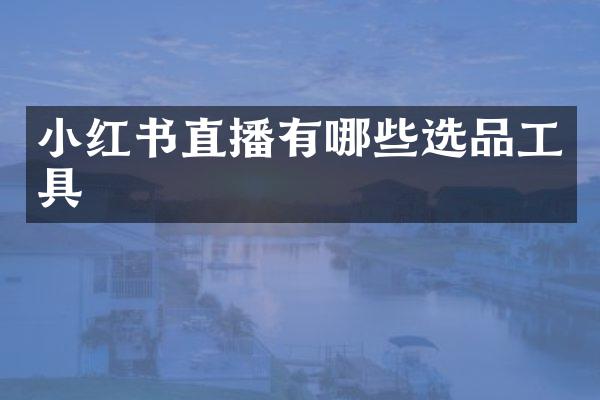 小红书直播有哪些选品工具