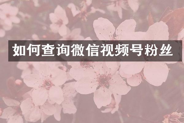 如何查询微信视频号粉丝