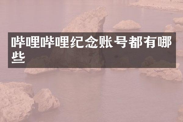 哔哩哔哩纪念账号都有哪些