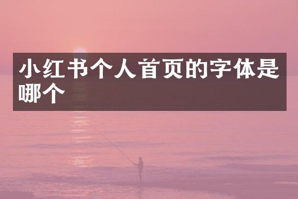 小红书个人首页的字体是哪个