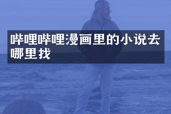 哔哩哔哩漫画里的小说去哪里找
