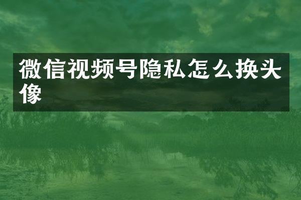 微信视频号隐私怎么换头像