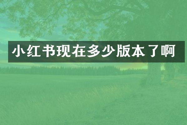 小红书现在多少版本了啊