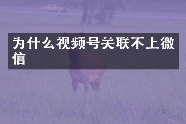 为什么视频号关联不上微信