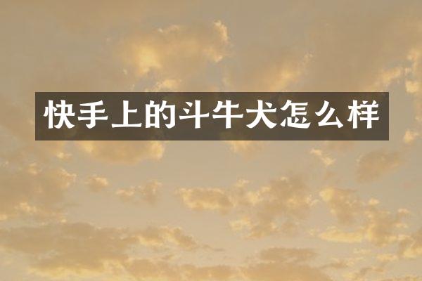 快手上的斗牛犬怎么样