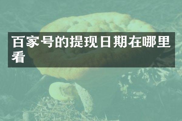 百家号的提现日期在哪里看