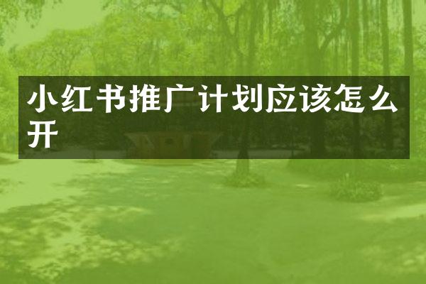 小红书推广计划应该怎么开