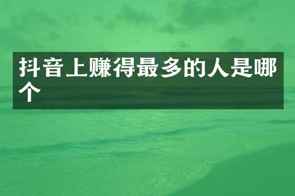 抖音上赚得最多的人是哪个