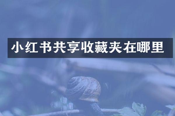 小红书共享收藏夹在哪里