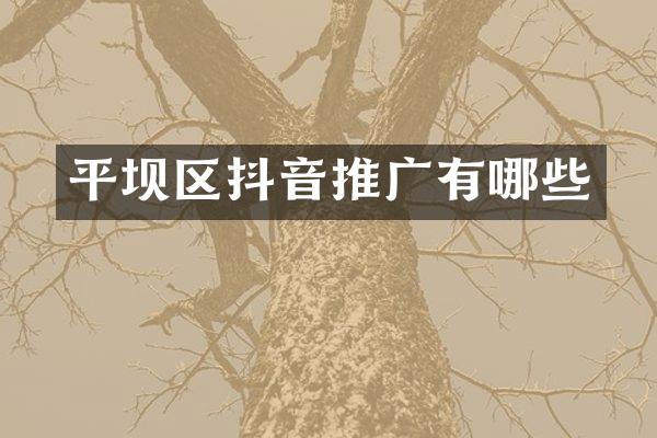 平坝区抖音推广有哪些