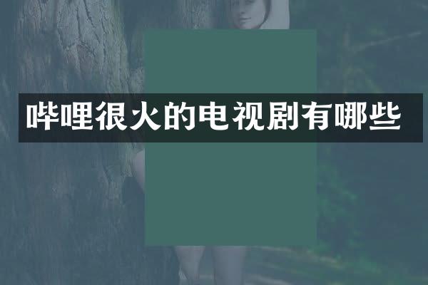 哔哩很火的电视剧有哪些