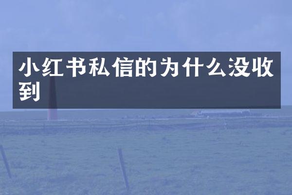 小红书私信的为什么没收到