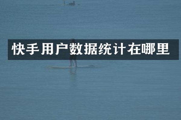快手用户数据统计在哪里