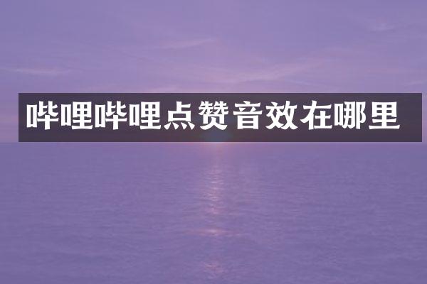 哔哩哔哩点赞音效在哪里