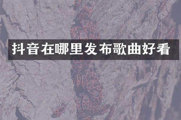 抖音在哪里发布歌曲好看