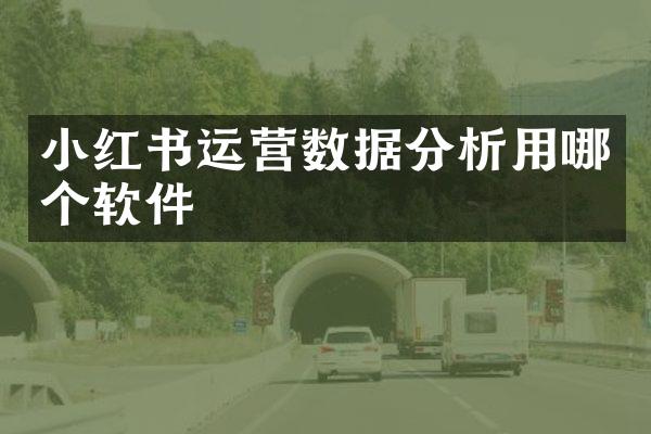 小红书运营数据分析用哪个软件
