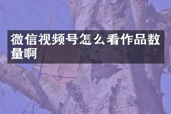 微信视频号怎么看作品数量啊